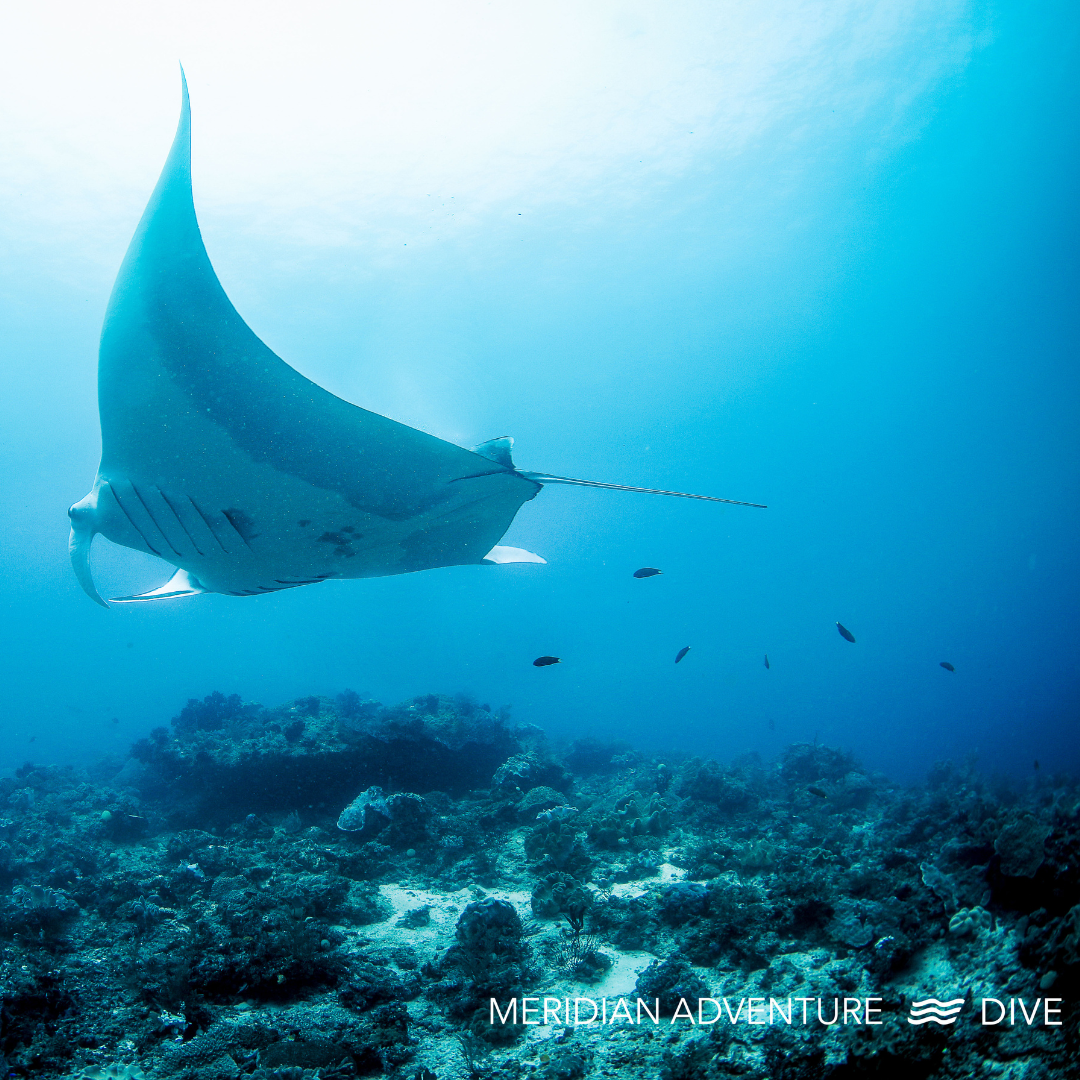 Raja Ampat 20th - 27th March 2026