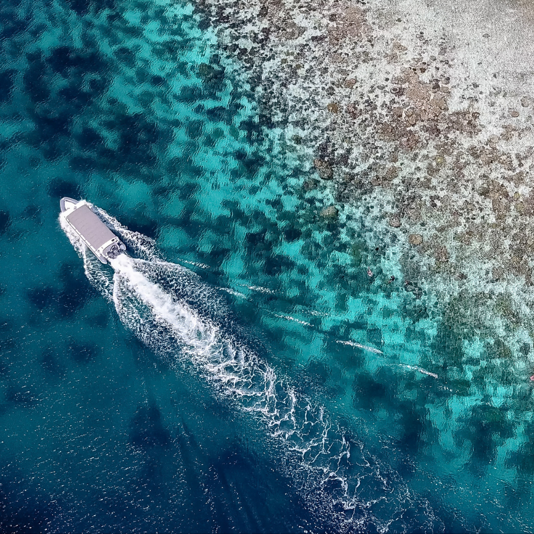 Raja Ampat 20th - 27th March 2026