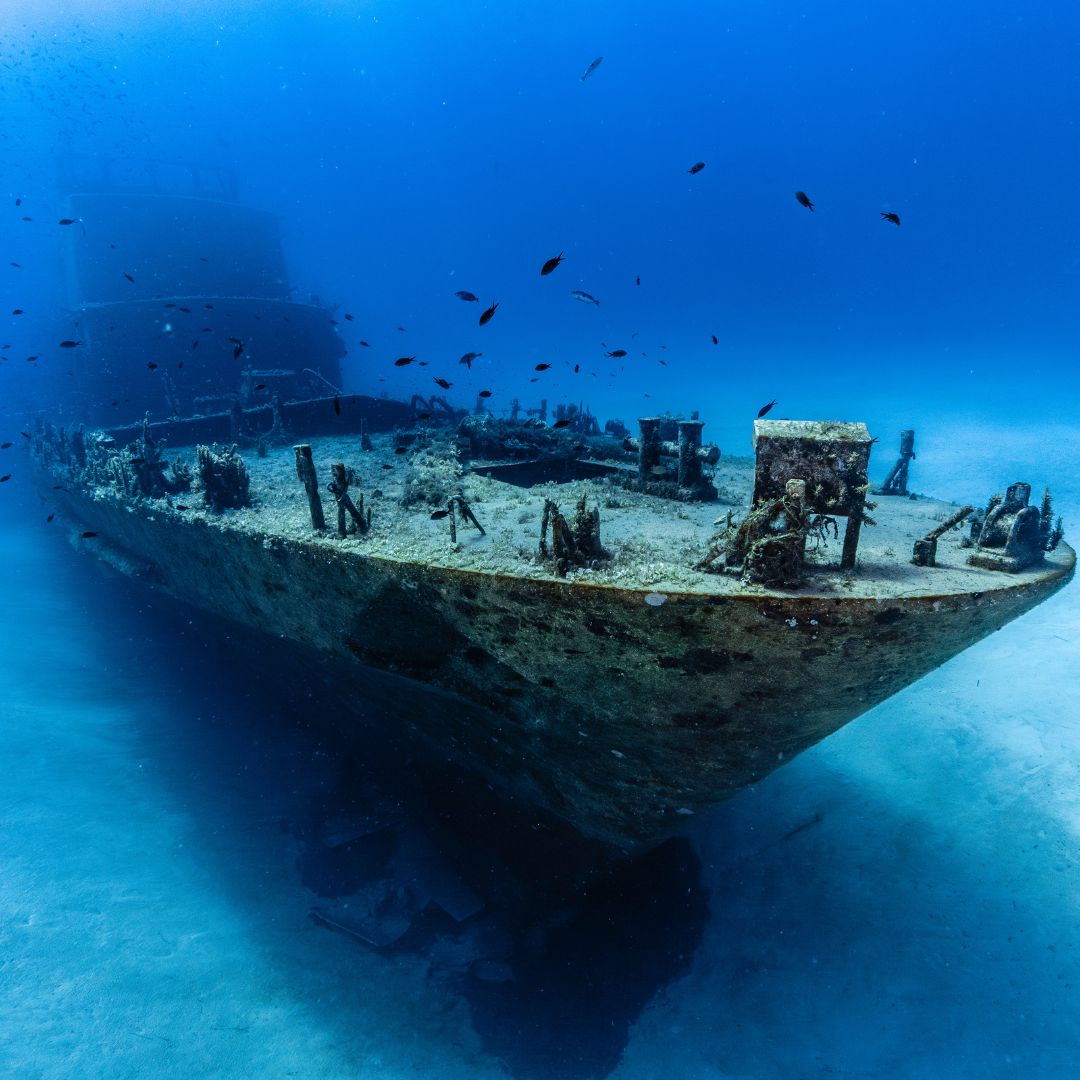PADI Wreck Diver Certification