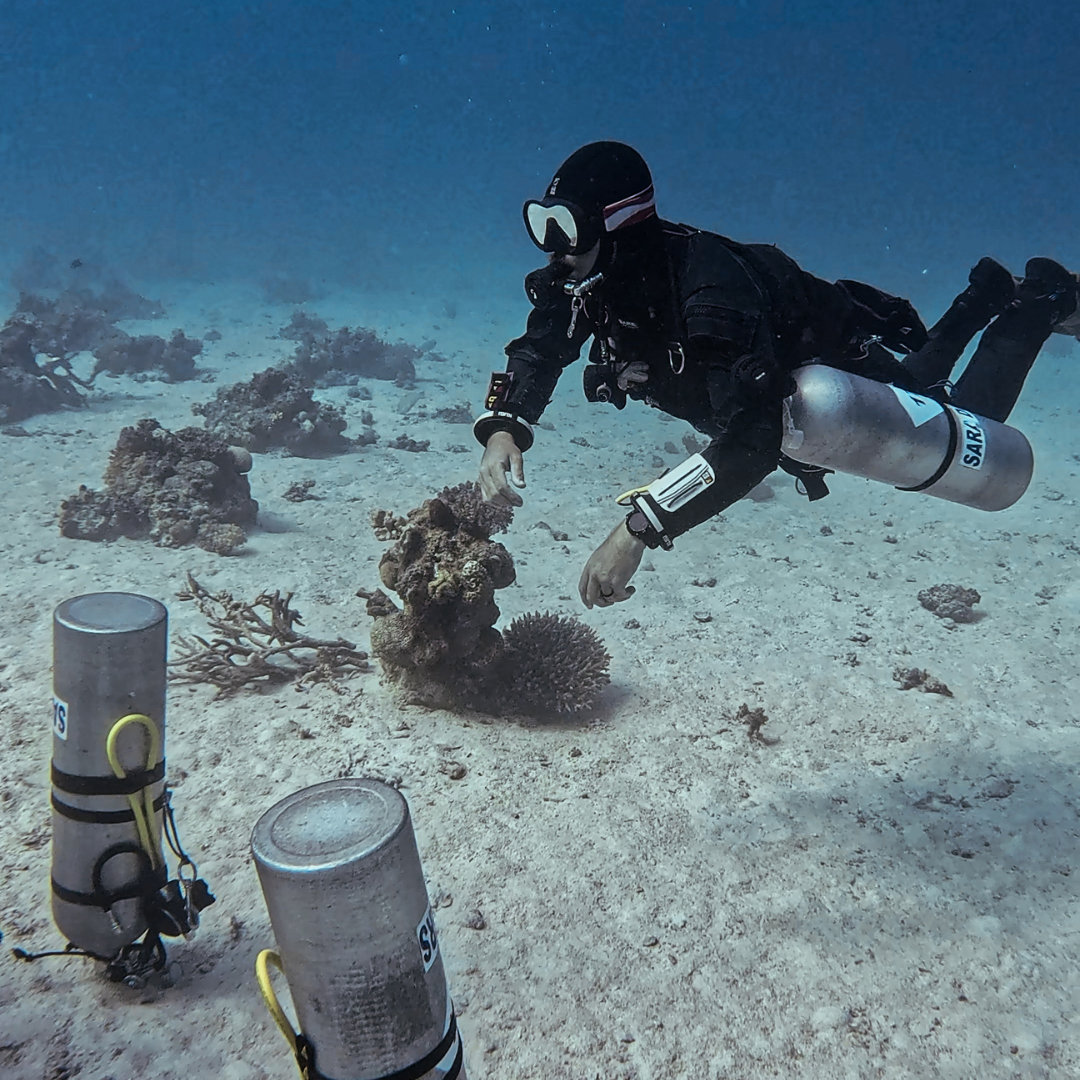 PADI Tec 40 / 45 / 50 Package – Hurghada, Egypt 18th April – 2nd May 2026