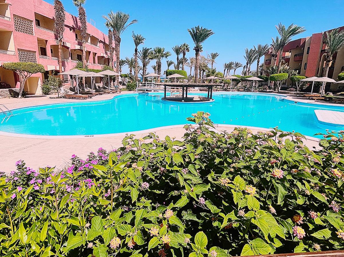 Hurghada Red Sea Dive Trip 25th April – 2nd May 2026